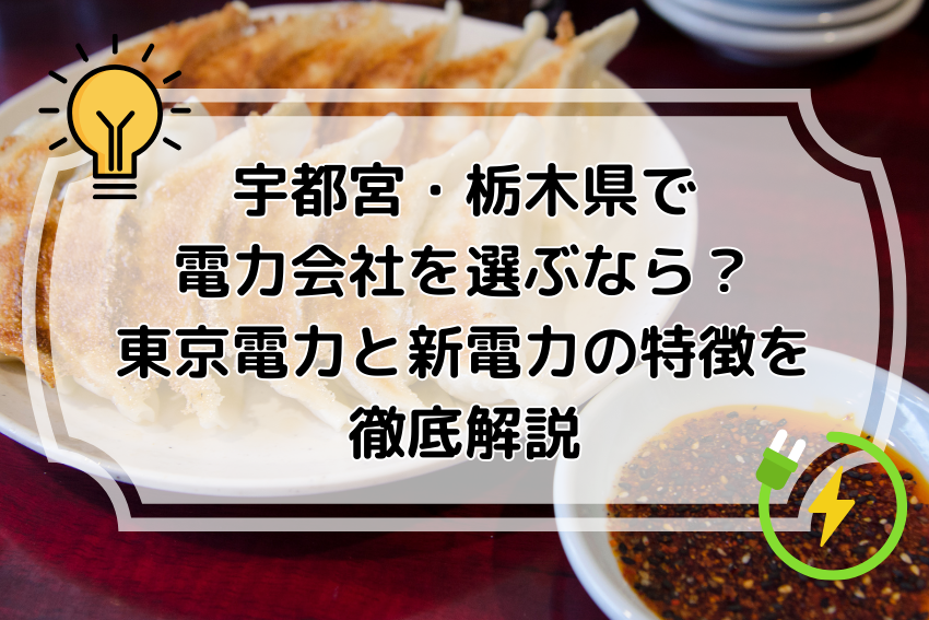 宇都宮・栃木県で電力会社を選ぶなら?東京電力と新電力の特徴を徹底解説