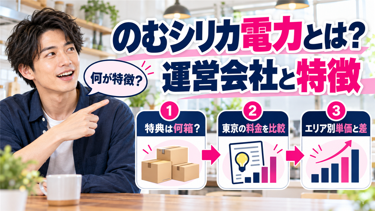 のむシリカ電力とは？運営会社と特徴